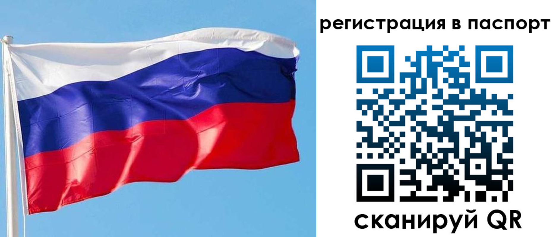 прописка законно в Юрьев-Польском